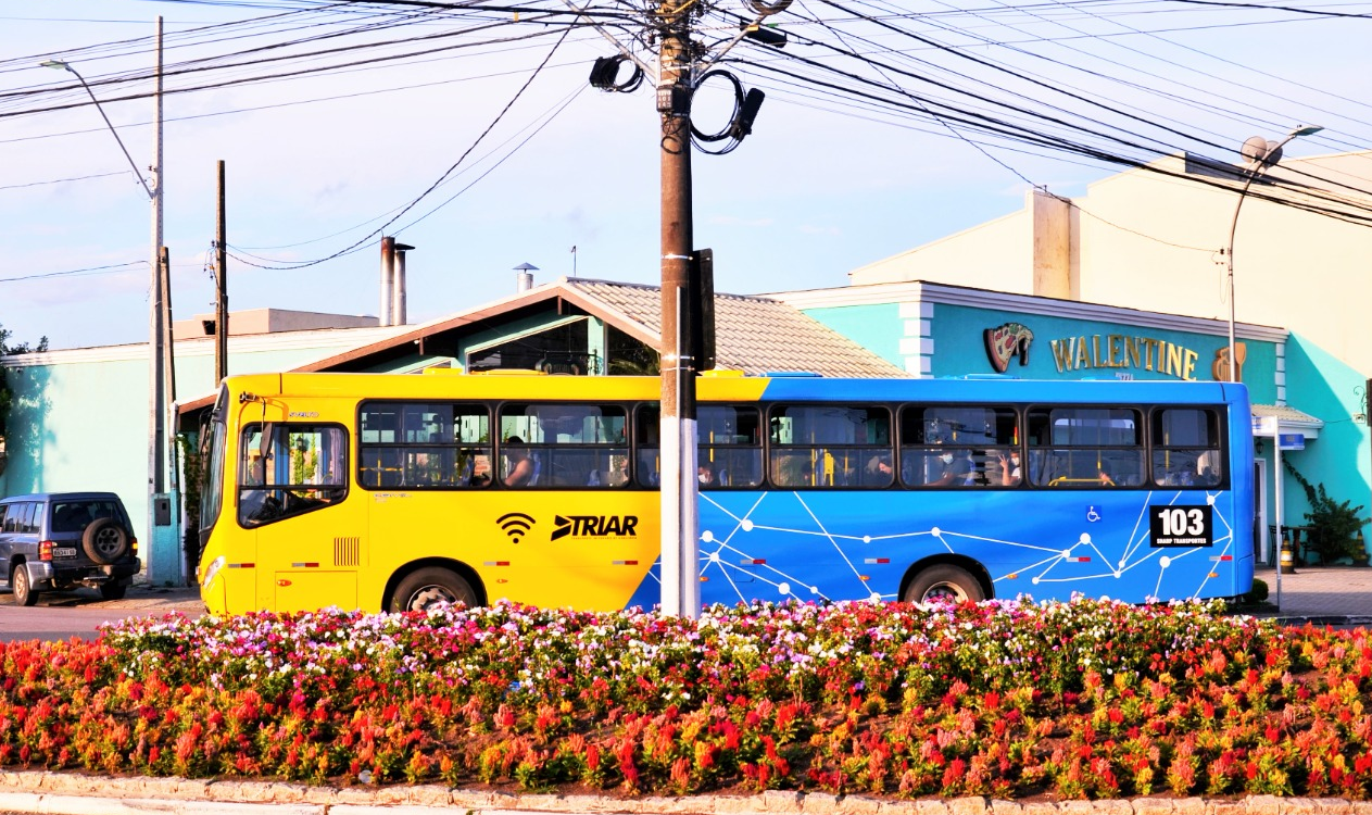Imagem 3