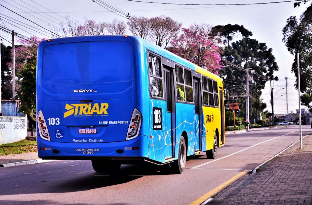 Imagem 4